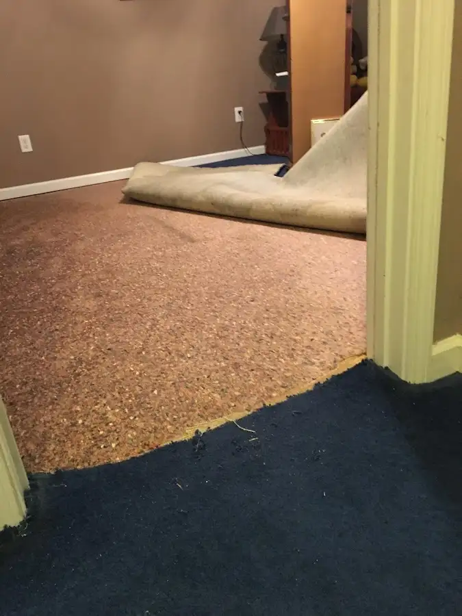 Carpet pad removal revealing water damage during Drying & Dehumidification in West Caln